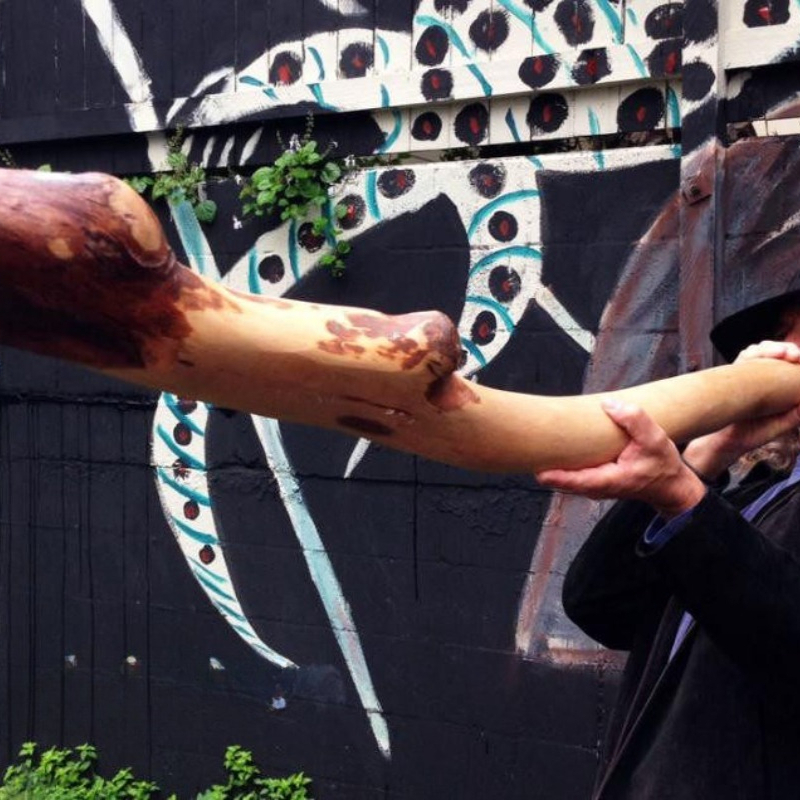 Musical Instrument Didgeridoo - Instruments de musique importés d'Australie, didgeridoo