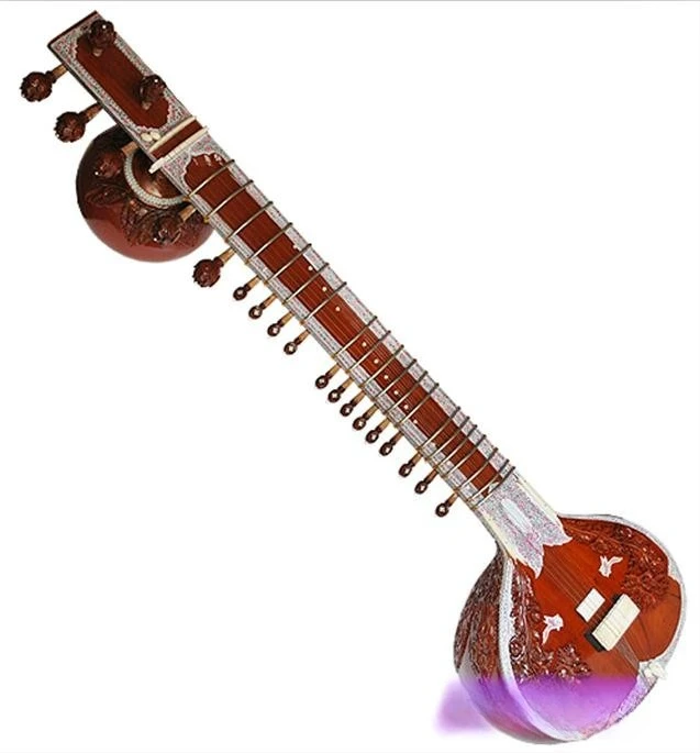 Musical Instrument Sitar - Instruments de musique, sitar, étui rigide