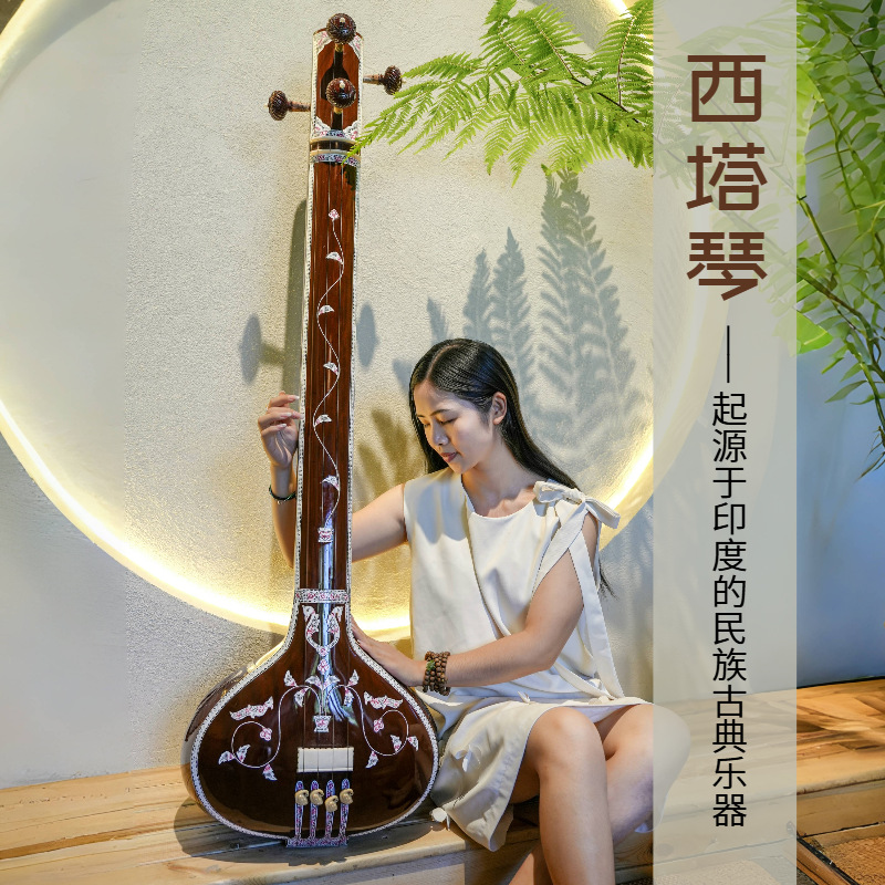 Sitar artisanal, instrument de - Musical Instrument Sitar avis et prix