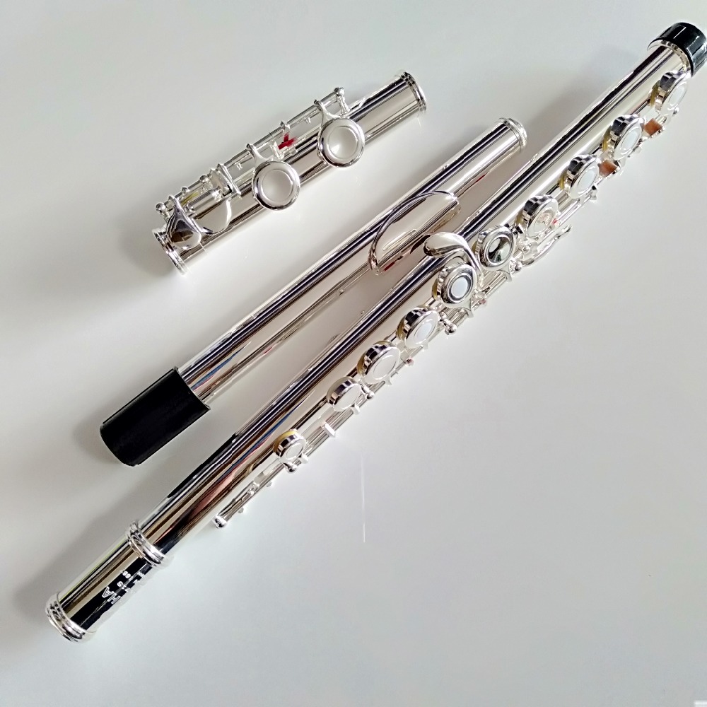 Flûte professionnelle japonais - Musical Instrument Japan avis et prix