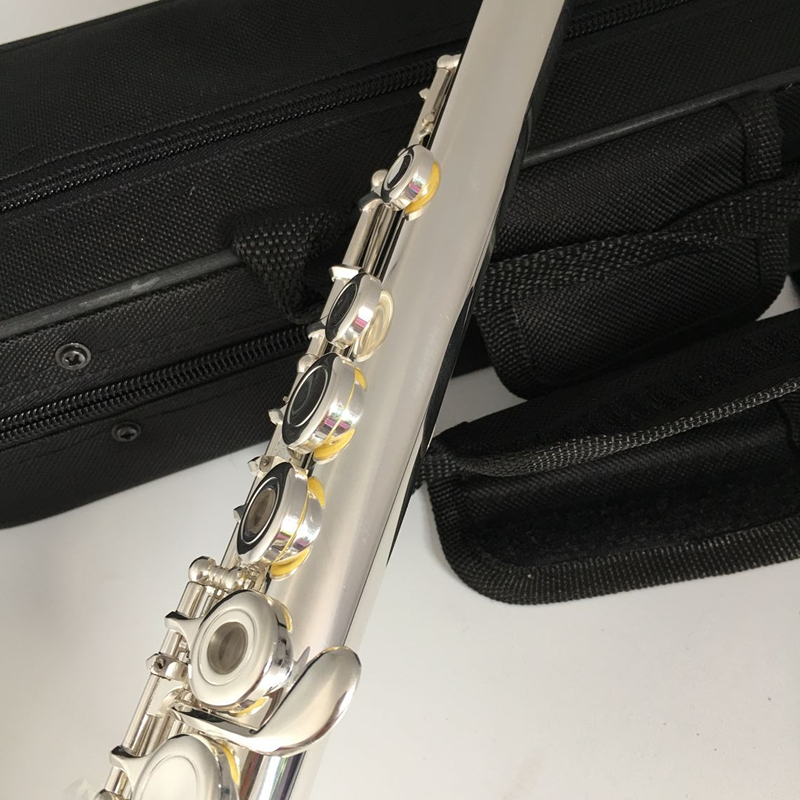 Flûte professionnelle japonais - Musical Instrument Japan avis et prix