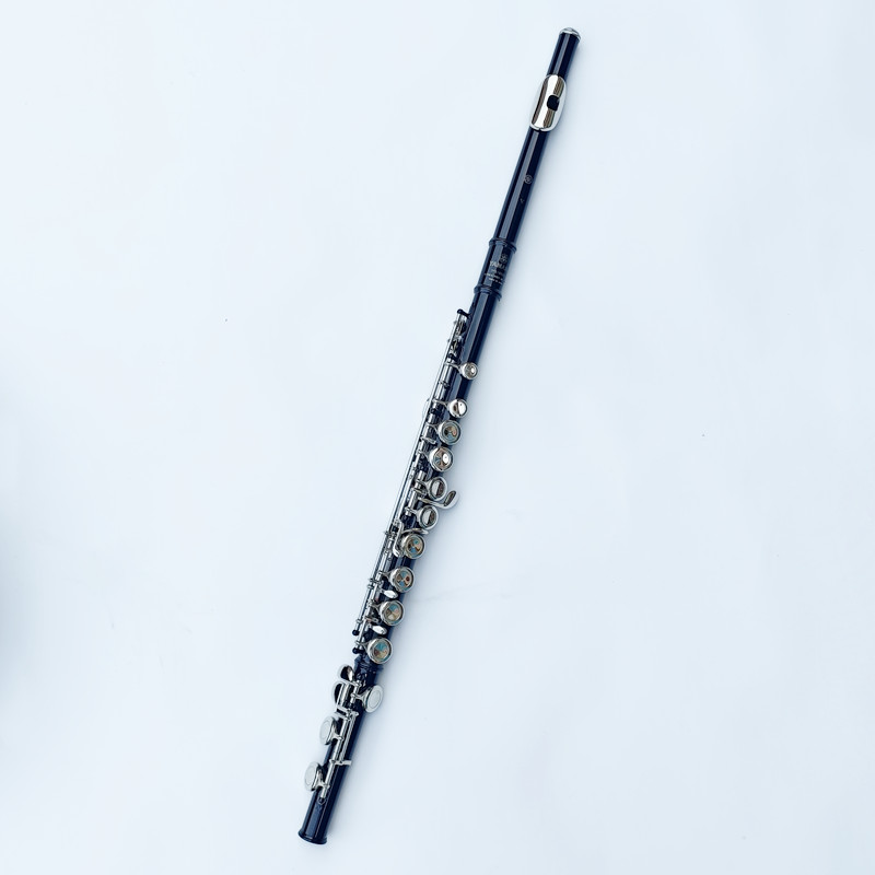 Flûte japonaise 212 noire à 16 - Musical Instrument Japan avis et prix