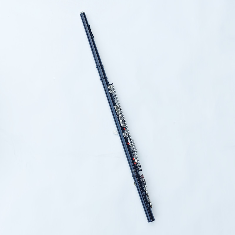 Flûte japonaise 212 noire à 16 - Musical Instrument Japan avis et prix