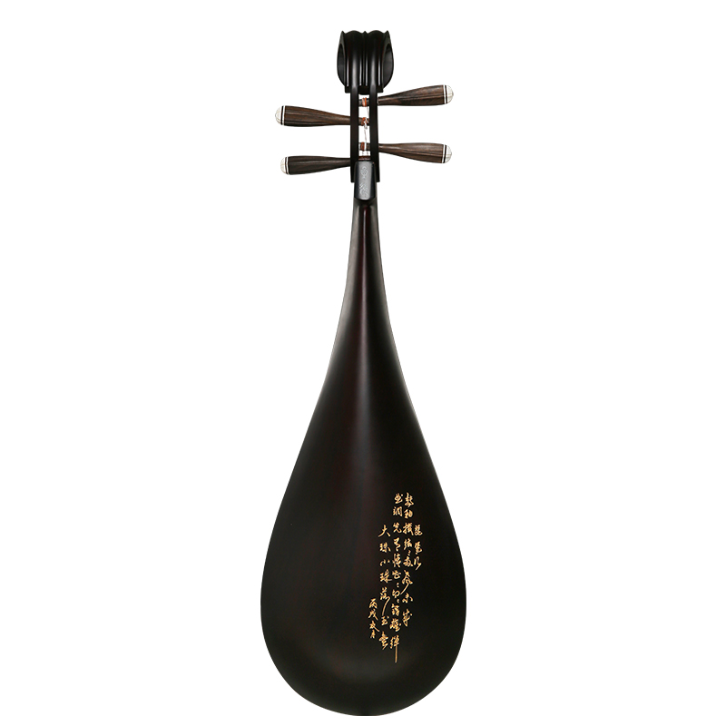 Lute chinoise Pipa en bois de  - Musical Instrument Brands avis et prix