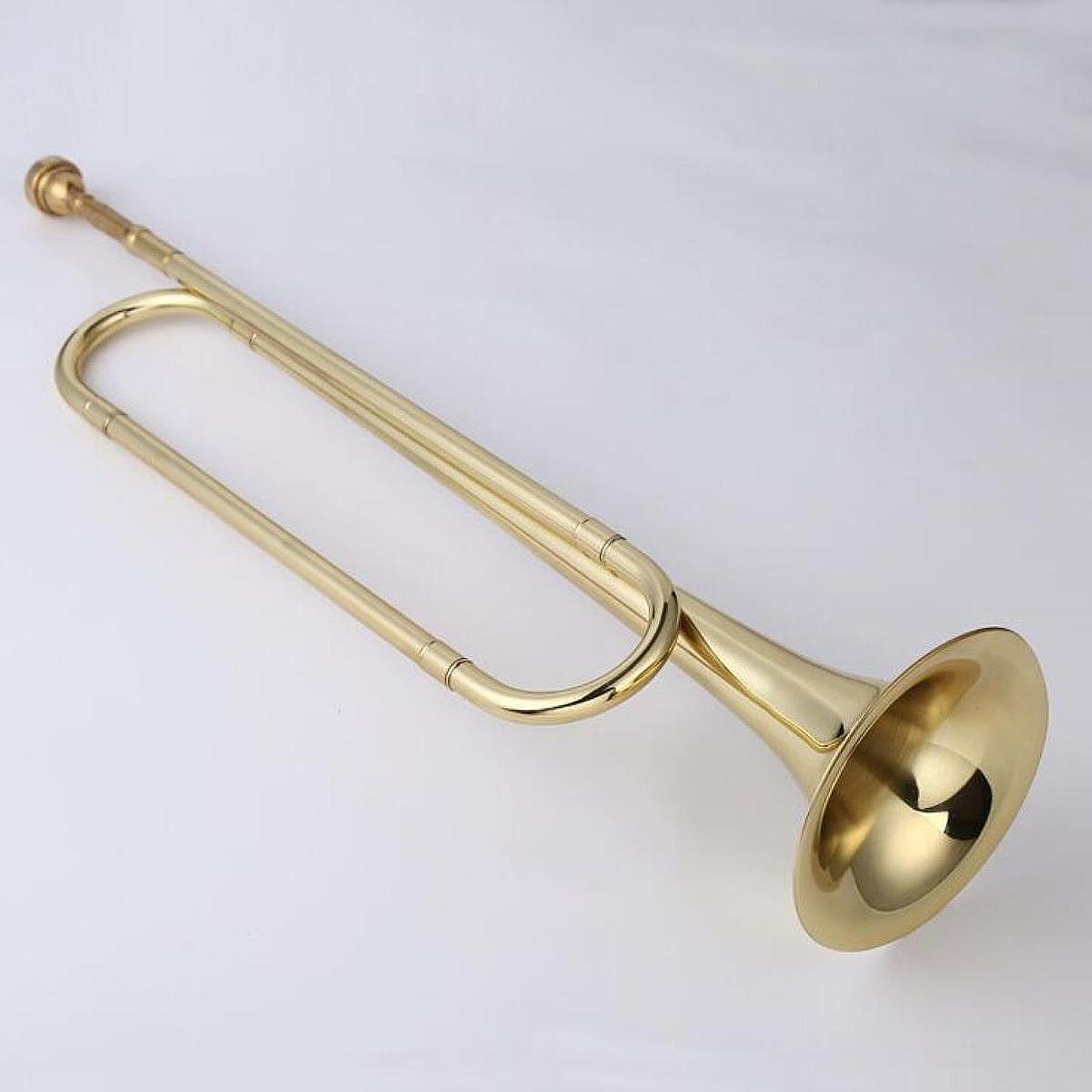 Corne de fanion en Si bémol, c - Musical Instrument Bugle avis et prix